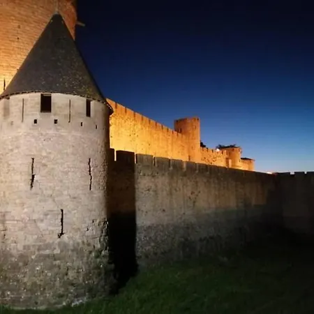 Διαμέρισμα Le Cocon De Marie,piscine, Balcon, Parking Gratuit, Baignoire Καρκασόν