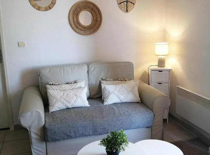 Le Cocon De Marie,piscine, Balcon, Parking Gratuit, Baignoire * Carcassonne